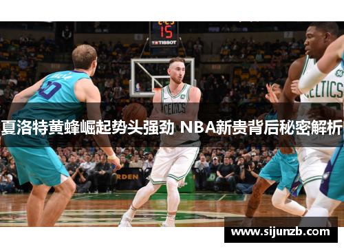 夏洛特黄蜂崛起势头强劲 NBA新贵背后秘密解析