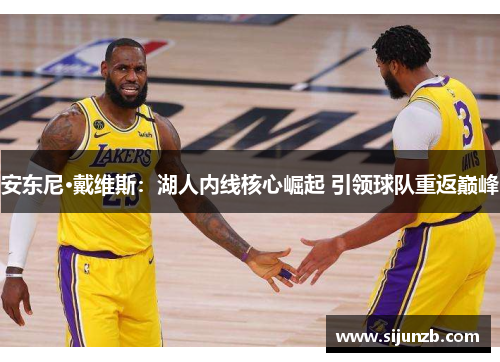 安东尼·戴维斯：湖人内线核心崛起 引领球队重返巅峰