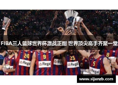 FIBA三人篮球世界杯激战正酣 世界顶尖高手齐聚一堂 FIBA三人篮球世界杯激战正酣 世界顶尖高手齐聚一堂